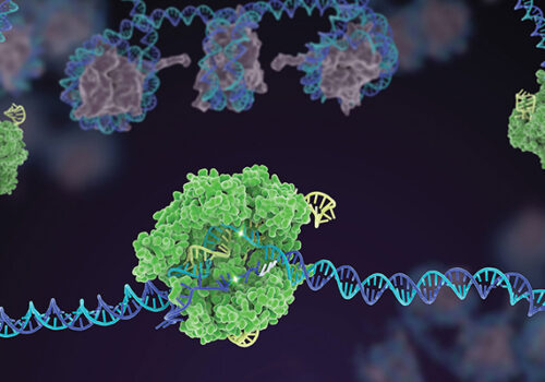 CRISPR/Cas9 Innovative Genomics Institute