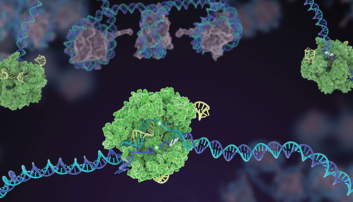 CRISPR/Cas9 – Rewriting the code of life