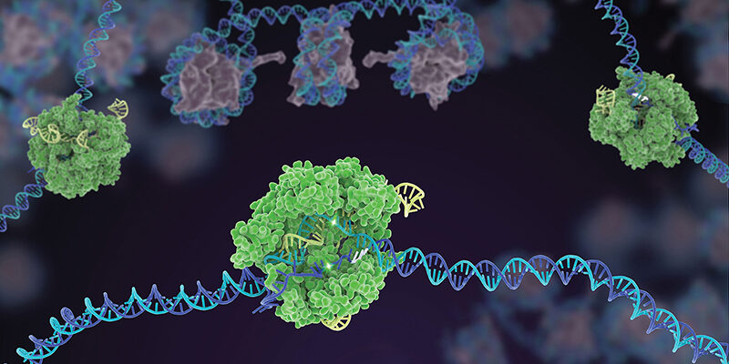 CRISPR/Cas9 Innovative Genomics Institute